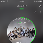 [세븐틴] 어차피 <b>졸업</b> 했으니까 밤 샌다