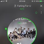 [세븐틴] 지금 캡 하고 올리는 거