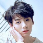 [방탄소년단] 네1이<b>버</b> 메인에 탄<b>이</b>들 기사