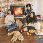 효리네 <b>민박</b> 개꿀잼 ㅎㅎ