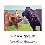 [댓글부탁해] 왜 삭제됨? 학교에서 야1동 틀어줬다고;;