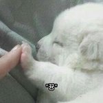 [조언부탁해] 대학교 좀 봐주라