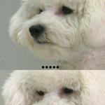 [EXO] 개이쳐 복습하는데 애들 새삼 영앤<b>리치</b>다