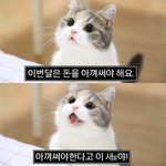 [댓글부탁해] 내기준 네이트판 둘러보는법ㅋㅋㅋ