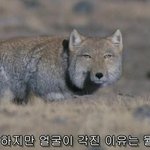 [드루와] 짝남이랑 아이컨택 한썰