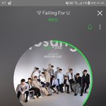 [세븐틴] 나중에 공식물품에