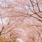 [댓글부탁해] <b>사랑</b> <b>VS</b> 우정 ??!