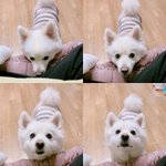 웹툰 추천<b>해조</b>