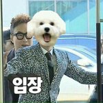 [EXO] 새벽에 주저리주저리주저리...내가 뭔말하고있지