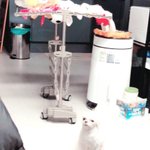 [<b>got</b>7] 어제의 갓스타