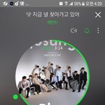 [세븐틴] 심심한 캐럿들 이거 보고 와