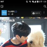 얘들아 이 멍멍이 견종이 뭐야