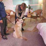 [이삐] 이거 원본 <b>출처</b> 어딘지 아는 이삐,,
