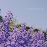 얘<b>두라</b> 배경화면 공유함