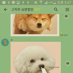 [EXO] 고독한 심쿵<b>짤방</b>에 나타난 비비