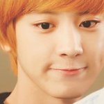 [EXO] 찬열이 머리색 초록색 <b>제외</b>하고 왠만한건 다해본듯