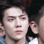 [EXO] 오세훈 눈썹 진짜 <b>발림</b>