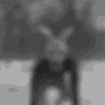 [댓글부탁해] 컨저링3 늑대인간 확정이라는데 <b>니</b><b>넨</b>어떰