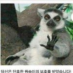 [ㅠㅜㅜㅜㅠ] ㅅㄷ이라는 커뮤