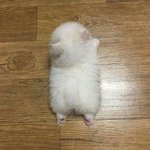[댓글부탁해] 파데 발라도 안뜨게 하는 법 있오...?