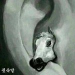 애들아 제발 들어와주라 ㅋㅋㅋㅋ
