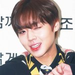 [박지훈] 갓로벌경제 기사사진+추가