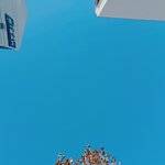 비담 아닌데 더 비주얼이라고 생각하는 멤버 있어?