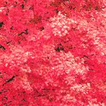 <b>페미니즘</b> 얘기 몇개 나오길래 하는 말인데