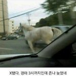 [드루와] 아 <b>학년</b>이 끝나니까 너무 공허해