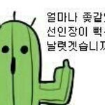 <b>판</b>에 예쁜<b>여자</b>일수록 ~ 이딴글 ㅈㄴ 짜증나