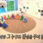 [EXO] 지금 <b>서로</b> 본인 얘기하기 바쁨