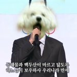 [EXO] 비비 합성짤 너모 귀여움