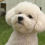 [조언부탁해] 고등 입시 준비해 본 사람 제발 들어와줘
