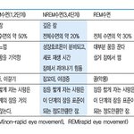[NCT] <b>수면</b>의 5단계