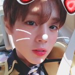 팬들의 센스 터지는 화환 문구 모음(+아육대)