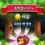 오늘도<b>사천</b>성 귀여운 펫 모으기~