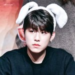 [박우진] 도톨이 <b>머리위</b>에 얹으면 몬가 씹덕이돼 ㅠ