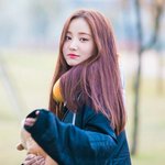 추반좀 <b>해쥬</b>라