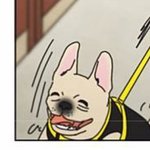 [VIXX] 연애혁명 <b>상식</b>이