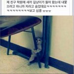 [댓글부탁해] 나 랜챗 웃긴짤 찾고있어 제발 들어와줘