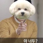 [EXO] 지금 상황 이해 안가는 사람