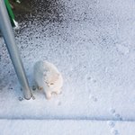 [드루와] 와 시.<b>발</b> 얘들아 지금 조카 시원함