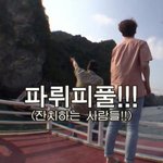 [댓글부탁해] 말린꽃 <b>통째</b>로 들은 투명립스틱있잖어