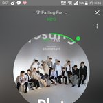 [세븐틴] 지금 ㄴㅏ혼자산다에