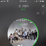 [세븐틴] 홀 나 혼자서 살지롱 <b>에서</b>