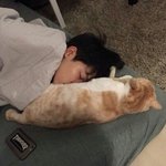 [드루와] 덕질 요거 ㅇㄱㄹㅇ 아니냐