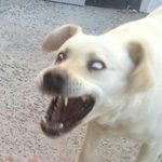 양홍원 좋아하는 애 있음?