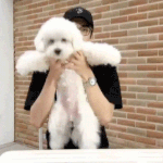 [EXO] 고독한 비<b>비방</b> ㅈㄴ활발해