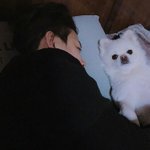 [댓글부탁해] 야 근데 ㄹㅇ 결혼의 장점이 뭐야?