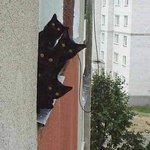 Africa <b>dream</b> shopping site!!!